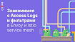 Знакомимся с Access Logs и фильтрами в Envoy и Istio service mesh