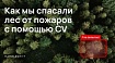 Как на выходных 3 джуна и офис-менеджер спасали леса и зверушек от пожаров с помощью компьютерного зрения