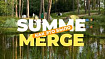 Лучшее IT-событие этого лета. За что говорят «спасибо» Summer Merge