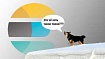 С чего начинается Elasticsearch
