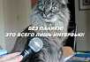 Интервью на камеру: как избежать ошибок и не испортить имидж