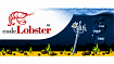 Обзор Codelobster — Удобная кроссплатформенная IDE