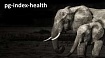 Здоровье индексов в PostgreSQL глазами Java-разработчика