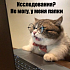UX-исследования на коленке: как недорого проверить гипотезы по тексту