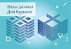 Как бизнесу выбрать базу данных под свой проект