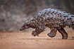 Переезжаем с Oracle на Platform V Pangolin в промышленной эксплуатации