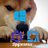 Как подружить Windows, Lens и Teleport