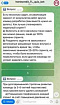 10 ситуаций выбора тимлида