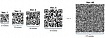 Почему введение проверки QR-кодов не имеет смысла в общественном транспорте и торговых центрах?