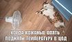 Нагреваем ЦОД и экономим. Прием реально работает, но есть нюансы