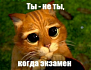 1000 и 1 способ обойти Safe Exam Browser