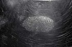 Для чего еще используют акустические отпечатки