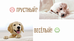 Распознавание рисунков на Javascript