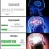 Слово vs Понятие и Почему специальные методики запоминания слов — баловство