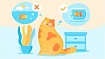 Про хороший и плохой дизайн для недизайнеров