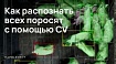 Как за 40 часов распознать всех поросят с помощью компьютерного зрения. Решение задачи на AgroCode Hack