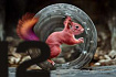 Apache Flink: использование и автоматическая проверка собственного сериализатора состояния
