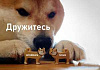 Как пользователям Linux продолжить работать с приложениями Windows: решаем с помощью Termit