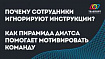 Почему сотрудники игнорируют инструкции? Как пирамида Дилтса помогает мотивировать команду