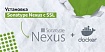 Установка Sonatype Nexus с SSL