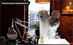 Тематический хабрамитап #1: бэкэнд-разработка