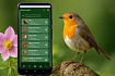 Весеннее приложение для Android