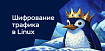 Большое руководство по сетям и шифрованию трафика в Linux (часть 1)