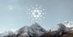 Спящий гигант, или Почему Cardano продолжает и выигрывает