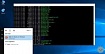 Утраченный потенциал подсистемы Windows для Linux (WSL)