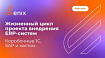Жизненный цикл проекта внедрения ERP-системы на примере коробочных SAP и 1С решений, а также кастомных разработок