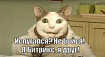 Сравнение VPS-хостинга для 1C-Битрикс с нагрузочными тестами — выясняем какой Битрикс хостинг лучше
