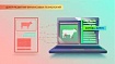 Редкий кейс: как мы учили нейросети определять болезни животных