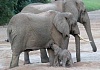 Логическая репликация в PostgreSQL. Репликационные идентификаторы и популярные ошибки