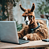 Как дообучить LLaMA бесплатно и без программирования: как создать тупого друга