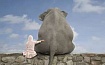 Кластер PostgreSQL внутри Kubernetes: что нужно знать для успешного внедрения