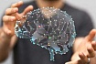 Возможное будущее ИИ, Python как модель мышления или незаслуженно забытый Акинатор