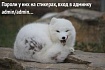 Корпоративная небезопасность