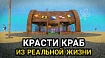 Красти Краб из реальной жизни