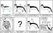 User Story Map (USM) как механизм управления объемом и рисками проекта