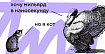Какие навыки нужны фронтендеру, чтобы стать мидлом? Исследование HTML Academy
