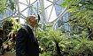 Как обучение стойке на руках связано с внутренними стандартами Amazon и как оно повлияло на мировоззрение компании?
