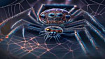 От NCSA Mosaic до Netscape Nagivator: история первого успешного браузера