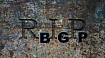 RIP BGP