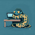 Python Дайджест: как сделать CI для OpenSource проекта с Github Actions