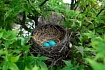 Быстрое создание CRUD с nest, @nestjsx/crud и TestMace