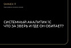 Системный аналитик 1С: что за зверь и где он обитает?