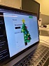 Новогоднее настроение от разработки Яндекс.Практикума