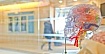 Нейрофизиология осознанности: как медитация влияет на наш мозг
