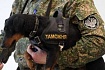 Раскрашиваем таможенную статистику. Или сколько и каких микросхем ввозят в Россию? (3)