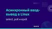Асинхронный ввод-вывод в Linux: select, poll и epoll